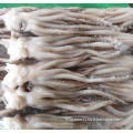 /msite/products/detail/productid/61184733/id/1336779.html